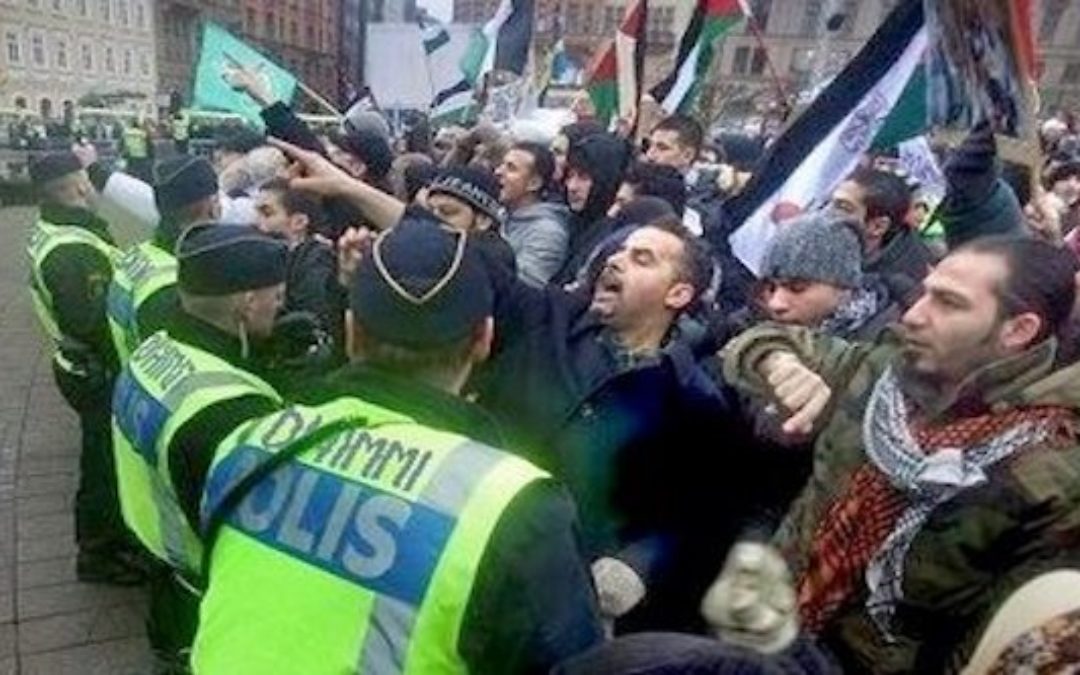 Swedish Defense Ministry Warns Muslim Brotherhood Building Parallel Swedish Society