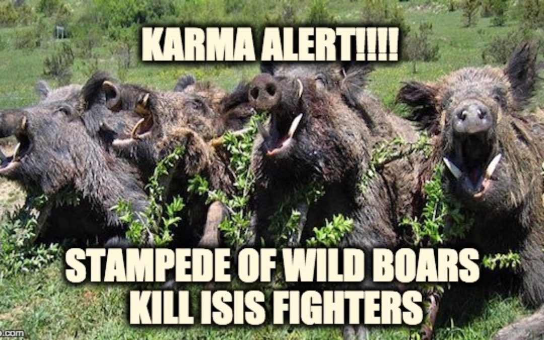 KARMA ALERT! ISIS Terrorists Killed By Stampede Of Wild Boars