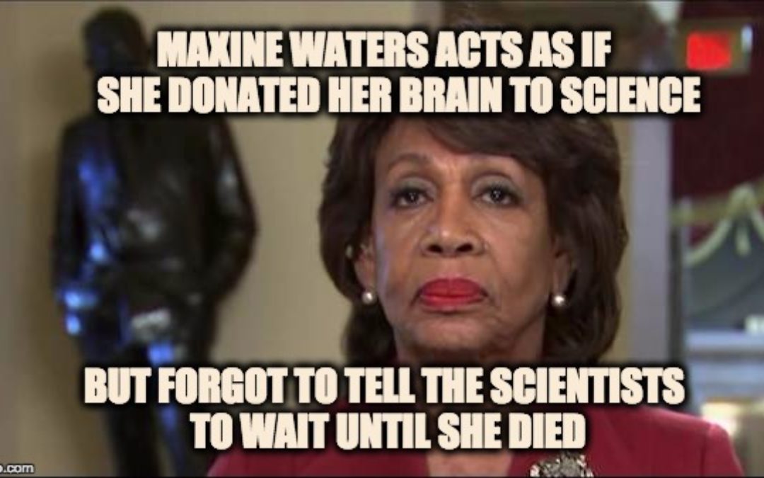 Crazy Maxine Waters Says Putin Invented ‘Crooked Hillary’ And Other Talking Points For Trump To Use