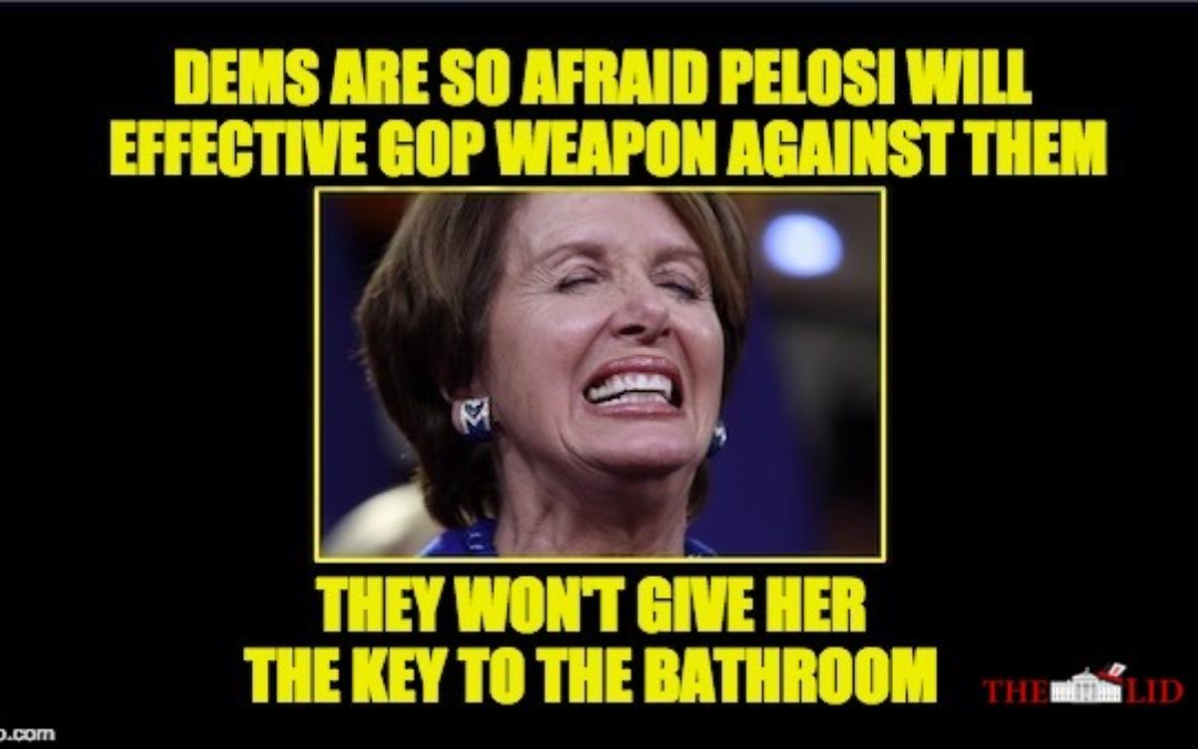 House Dems Are Nervous Nancy Pelosi Will Be HUGE GOP Weapon In 2018
