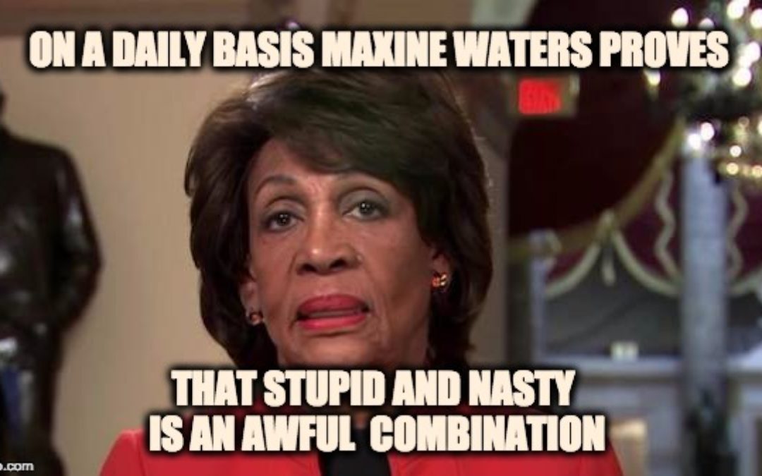 Constituent Confronts Mad-Maxine Waters, I Want To See YOU Impeached