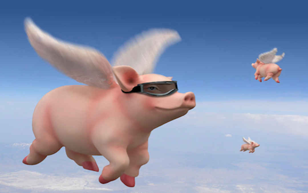 Pigs Fly! Morning Joe Admits Russia Didn’t Give Trump Win