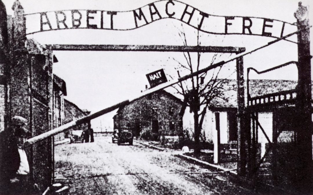 The Liberation Of Auschwitz A Survivor’s Story
