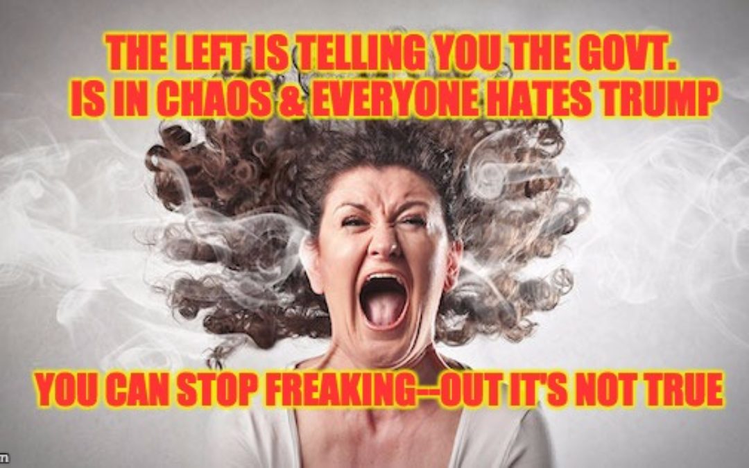 The Left’s Trying To Make You Freak Out About Trump: Calm Down & Relax