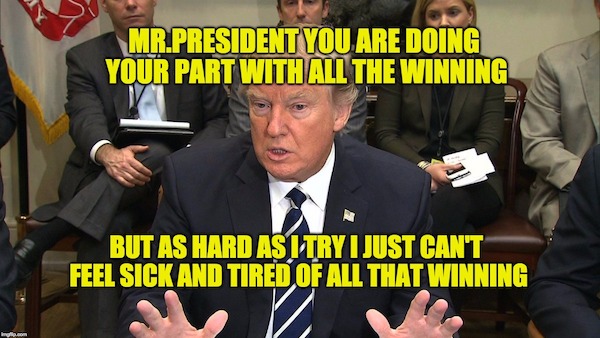 Trump Winning