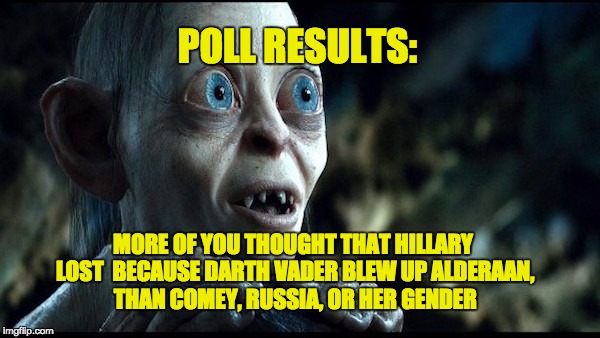 Hillary Lost