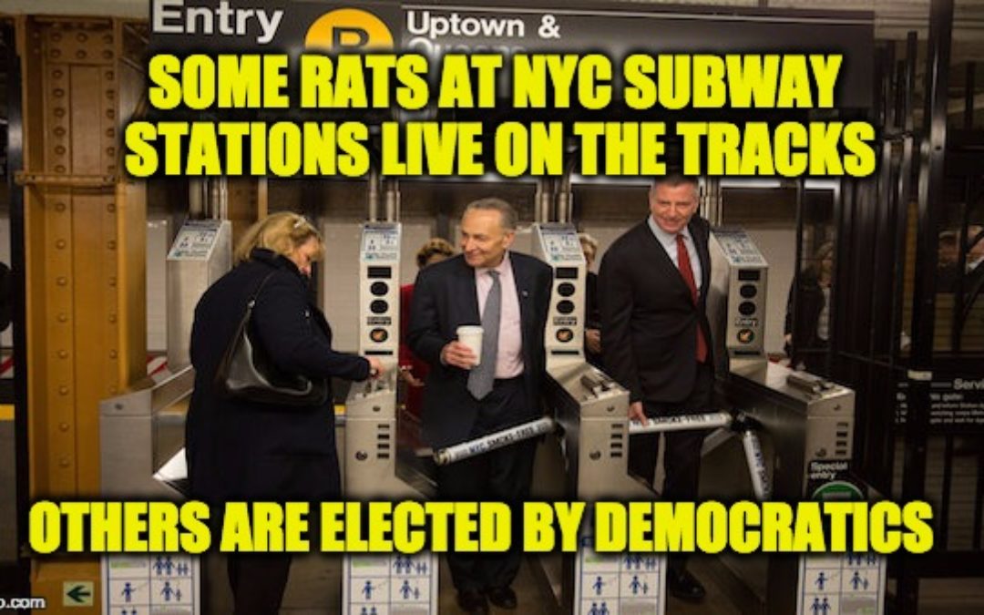 Chuck Schumer Blames POTUS For Nightmare That Is The NYC Subways