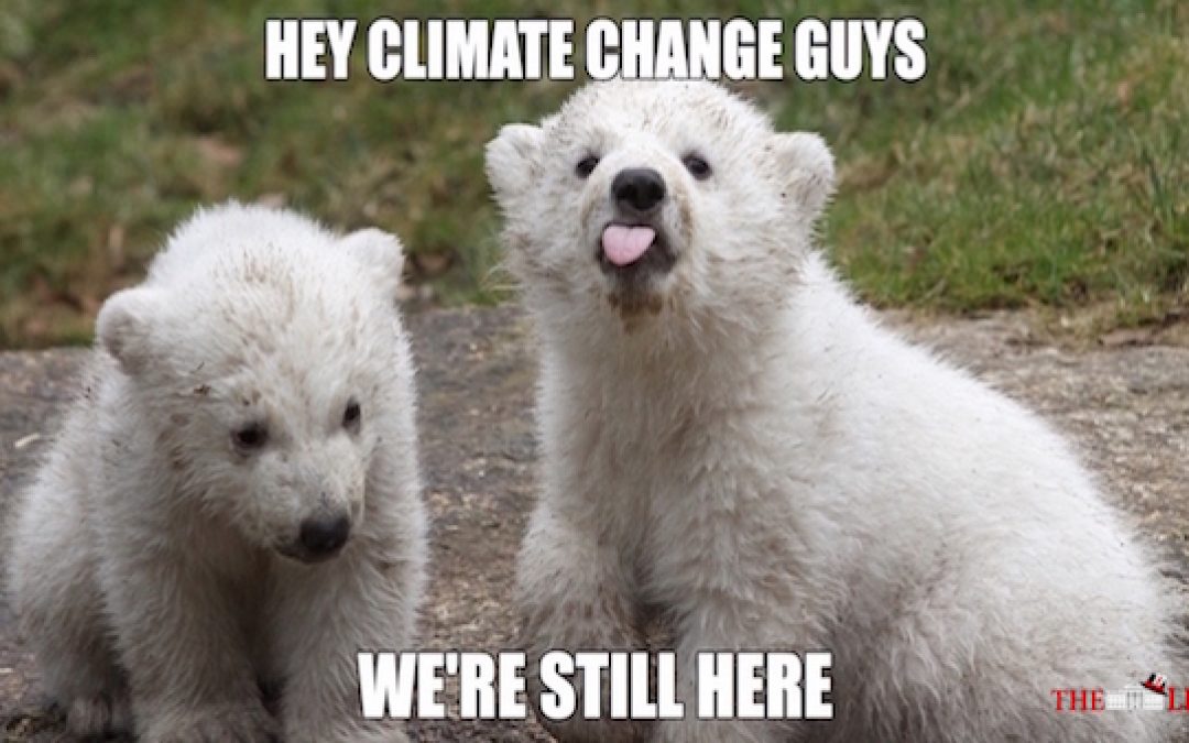 NY Times Says Climate Change Bigger Threat Than North Korean Nukes