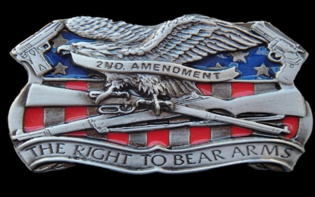 Some Facts To Help You Defeat Liberals In The Gun Debate