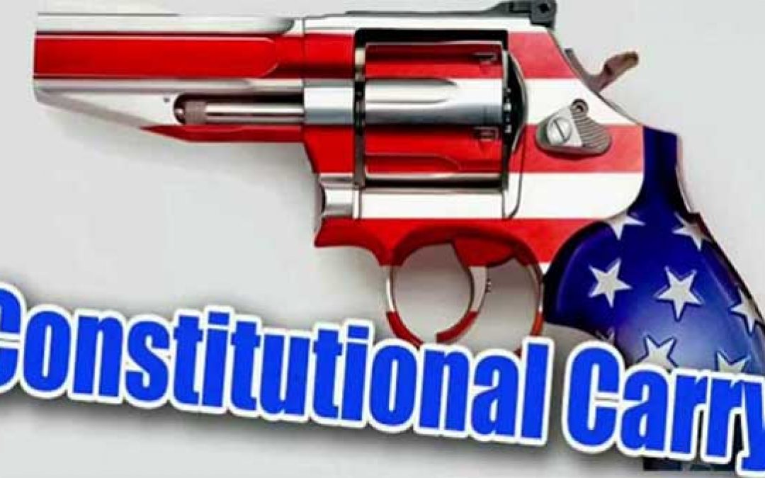 Constitutional Carry Legislation Passes in Michigan House