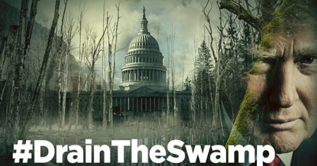 Drain The Swamp
