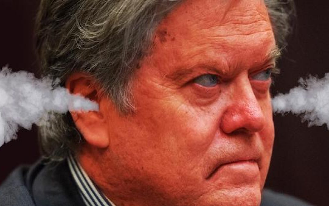Steve Bannon Calls Trump An ’11-Year Old Child,’ Considering 2020 Run