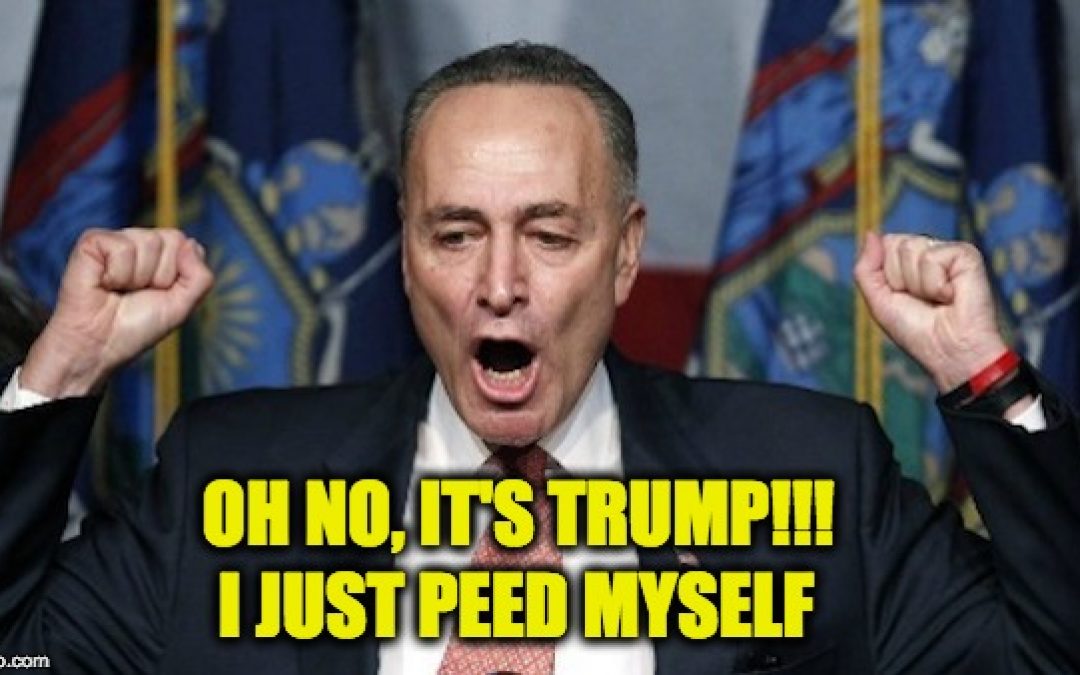 Leftists Infected With Mind-Altering Disease – Trumpaphobia