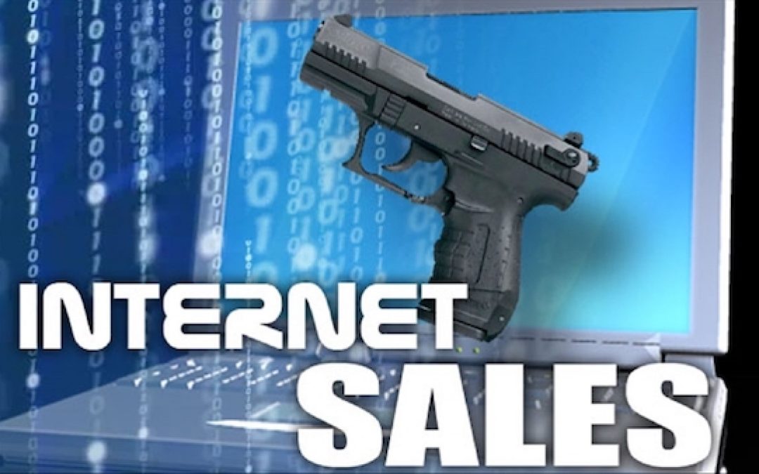 GAO Test Of Online Gun Sales Leaves Egg on Faces Of Gun Opponents