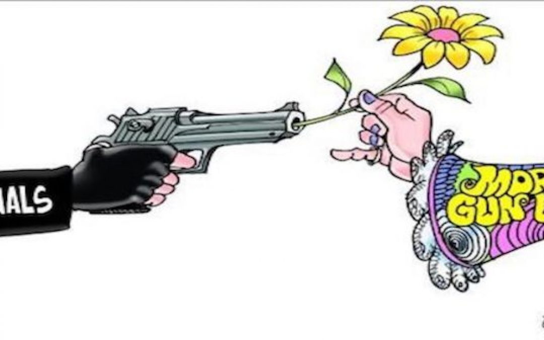 Top 5 Facts That Gun Control Advocates Hate