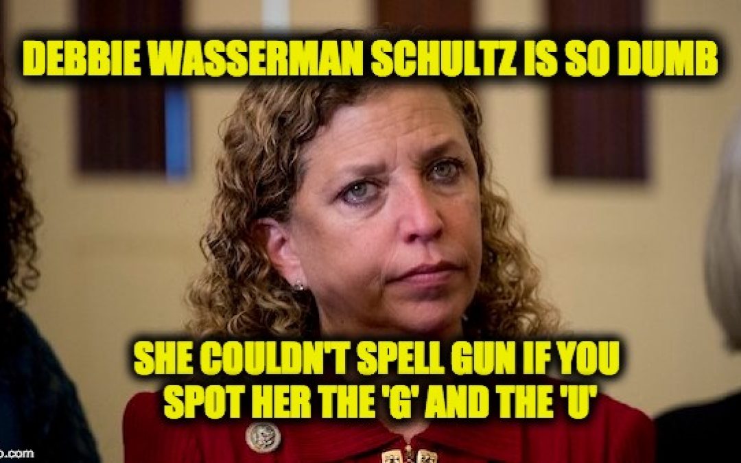 Debbie Wasserman Schultz Wants To Ban Gun Accessory That Doesn’t Exist