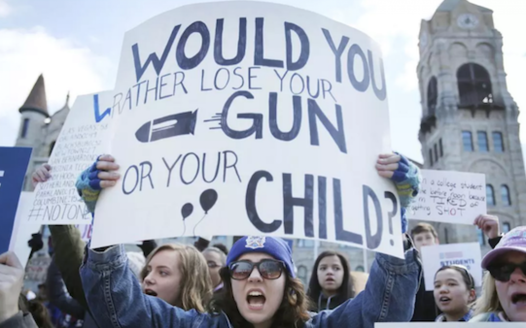 When Dems Say They Don’t Want To Take Away All Our Guns: THEY’RE LYING