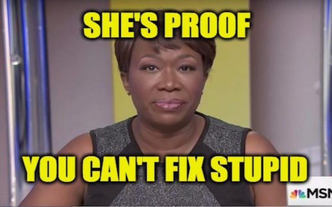 MSNBC’s Joy Reid Mocks and Derides Homosexuals & Liberal Media Silent