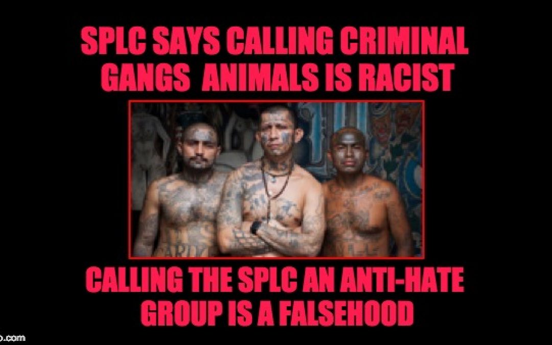 Southern Poverty Law Center (SPLC) Defends Gang Of Rapists/Murderers