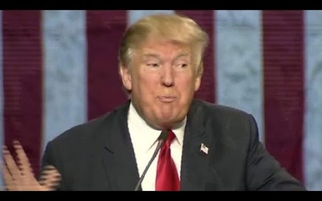 YES, Trump Mocked Disabled Reporter- But NO, It Won’t Matter