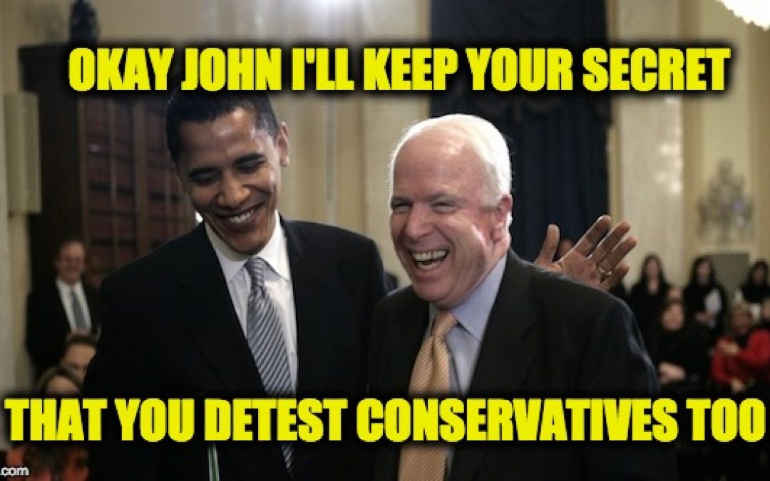 John McCain Staffer Told Lois Lerner To Audit Non-Exempts Till They Collapsed