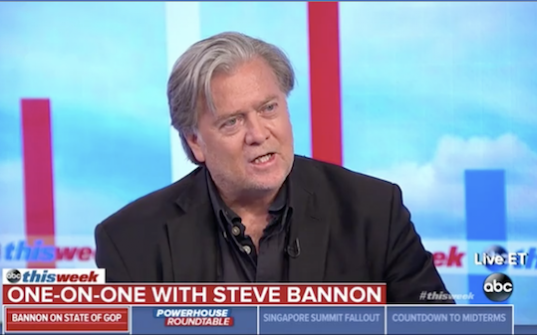 Steve Bannon Predicts A Mid-Term Wave, But Not The One You Think