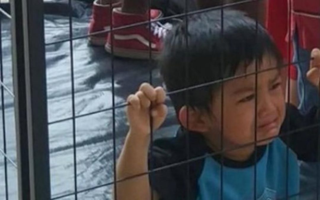 Illegal Immigrant Jose Vargas Spreads New Caged Kids Lies