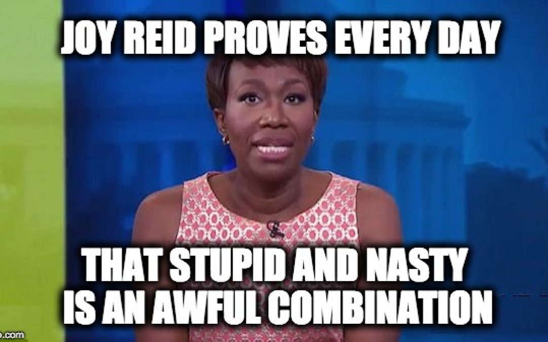 Joy Reid: A Combination of Stupid AND Nasty