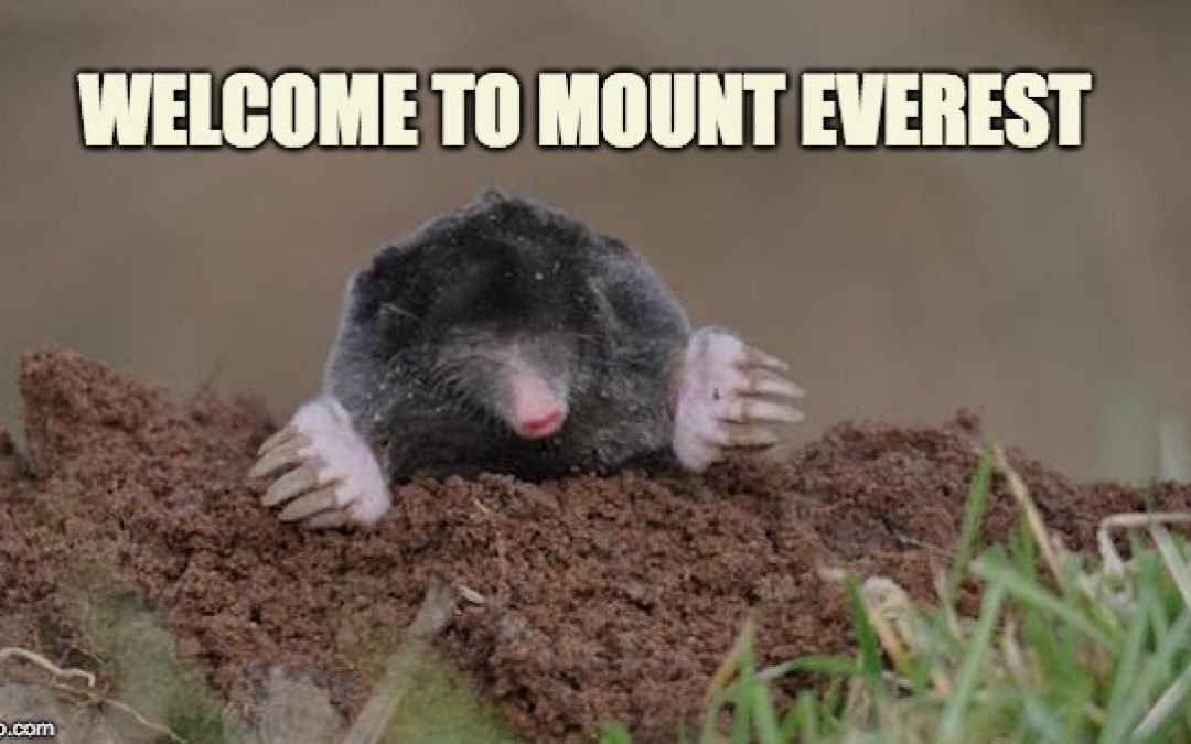 Liberals Making Mountain Out Of Meddling Molehill