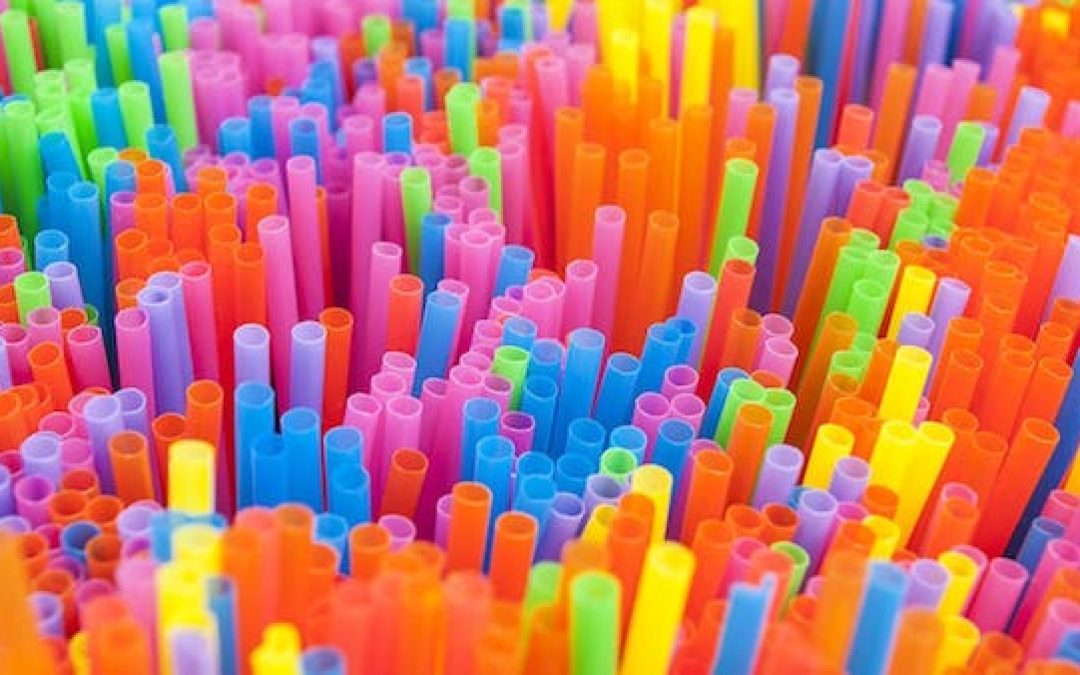 Latest Liberal Lunacy “The Straws That Ate America” Or Something
