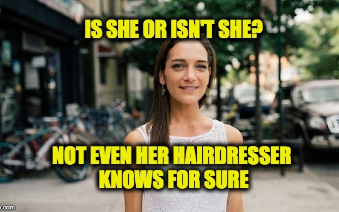 A Modest Proposal: Let Julia Salazar Take The Blame