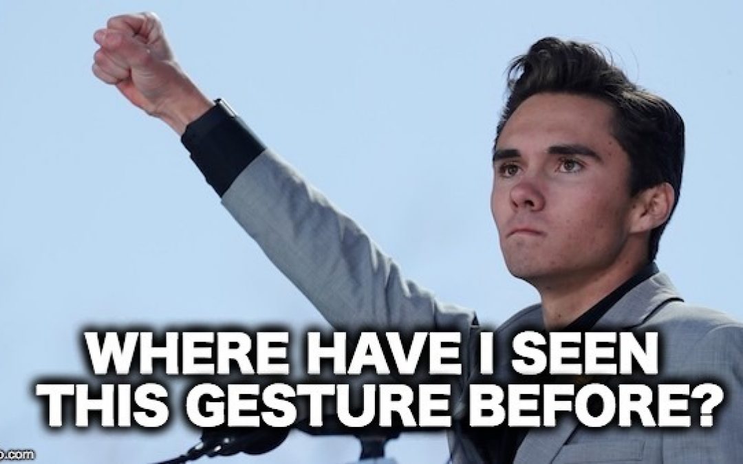 OH GREAT!  Now Teen Tyrant David Hogg Wants To Be In Congress