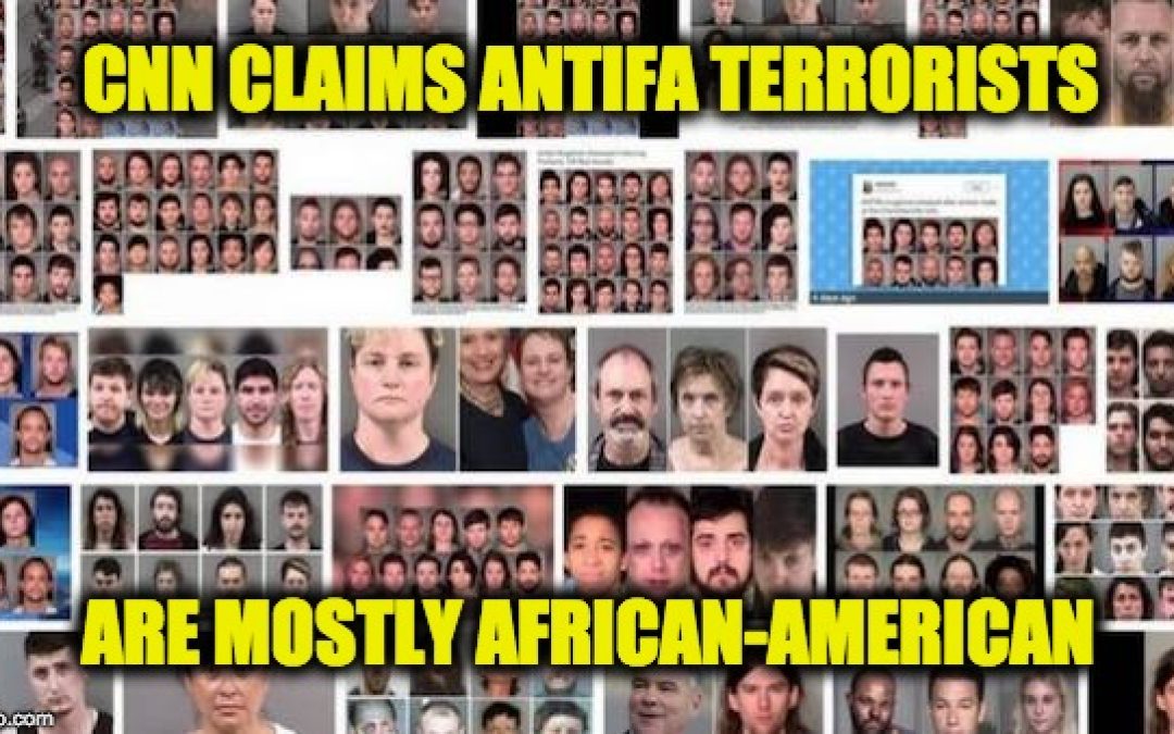 Candace Owens OWNS Fake News CNN