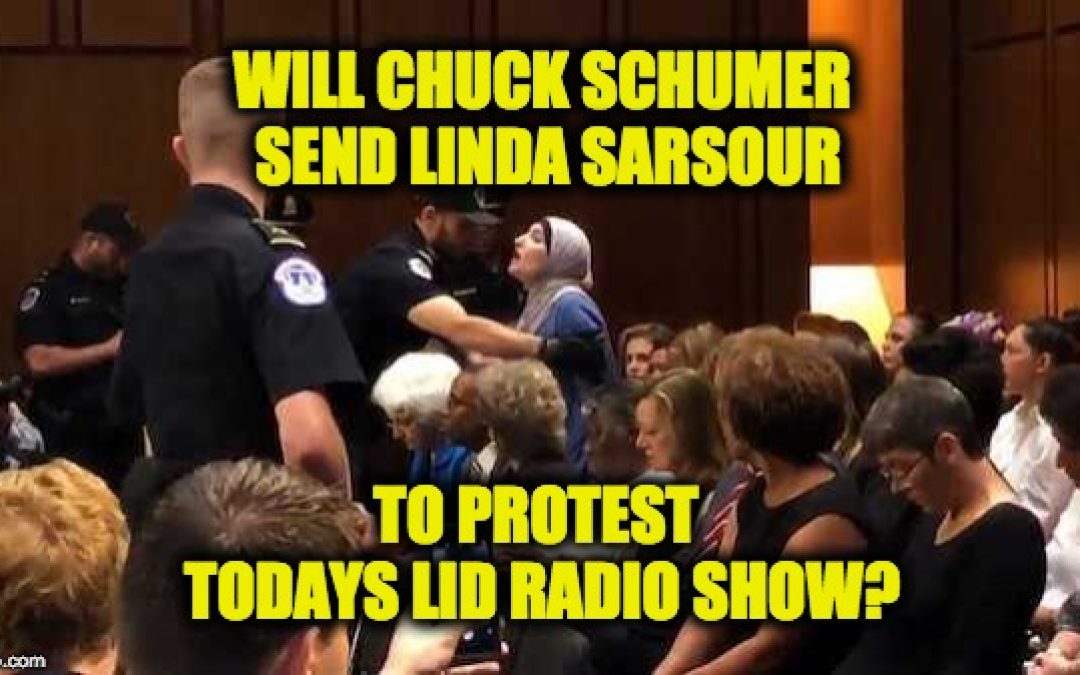 Did Schumer Organize Protests For Today’s Lid Radio Show?
