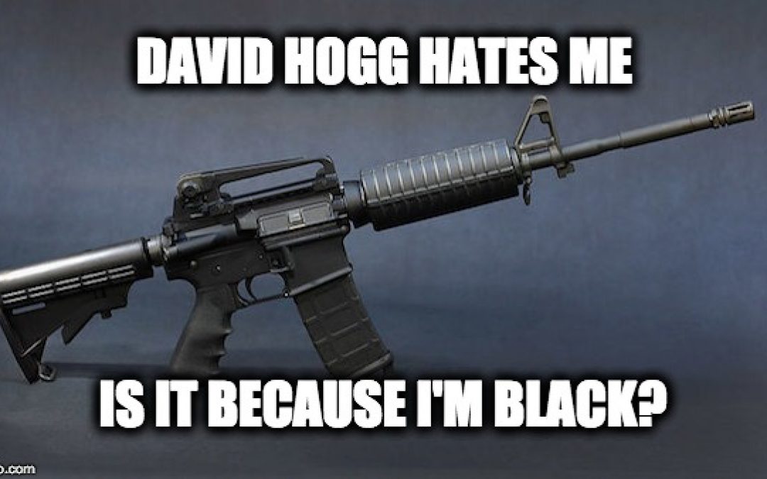 David Hogg’s Latest Brainless Claim About AR-15 Rifles