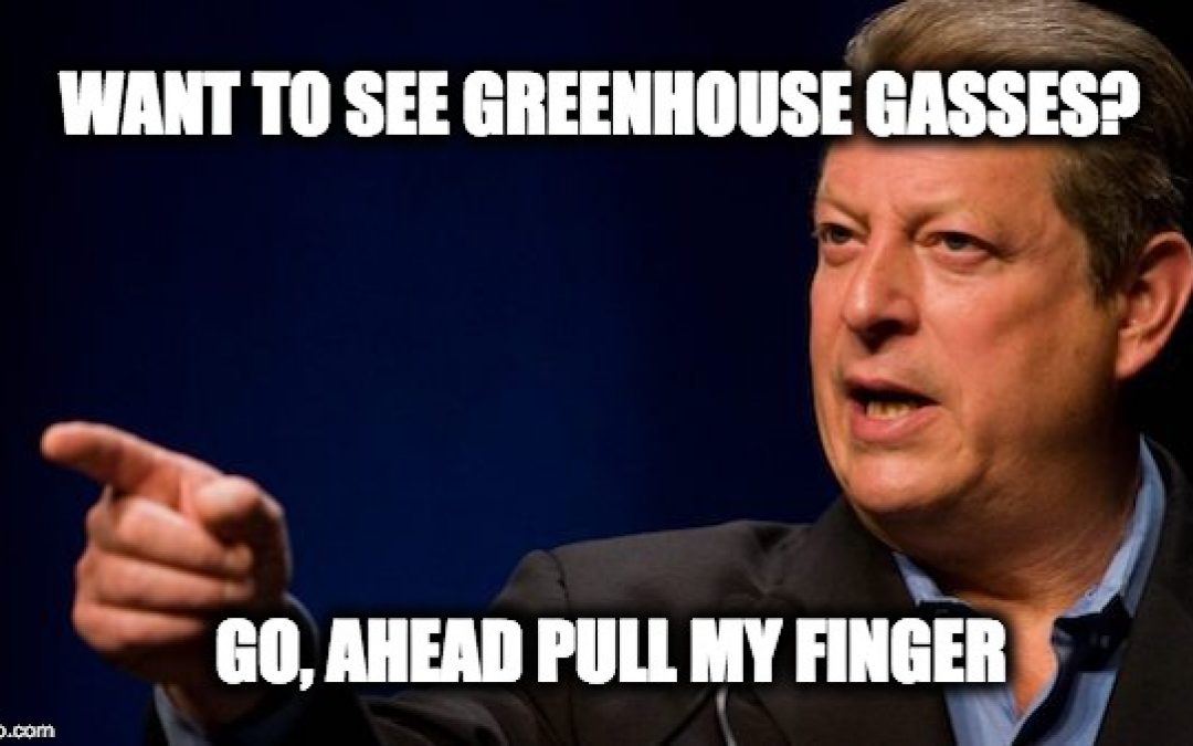 Al Gore Lies About Florence To Fearmonger About Climate Change