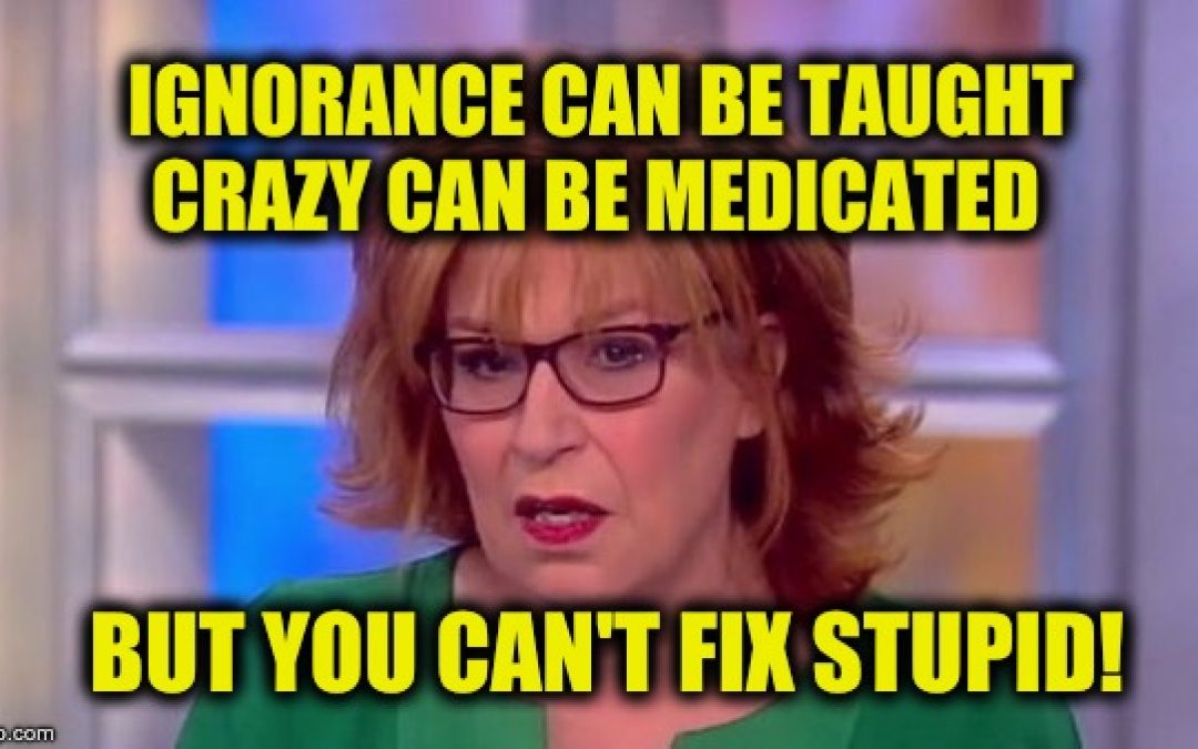 Will Ignorance of the Constitution, Gullibility, and Stupidity Doom Our Nation?