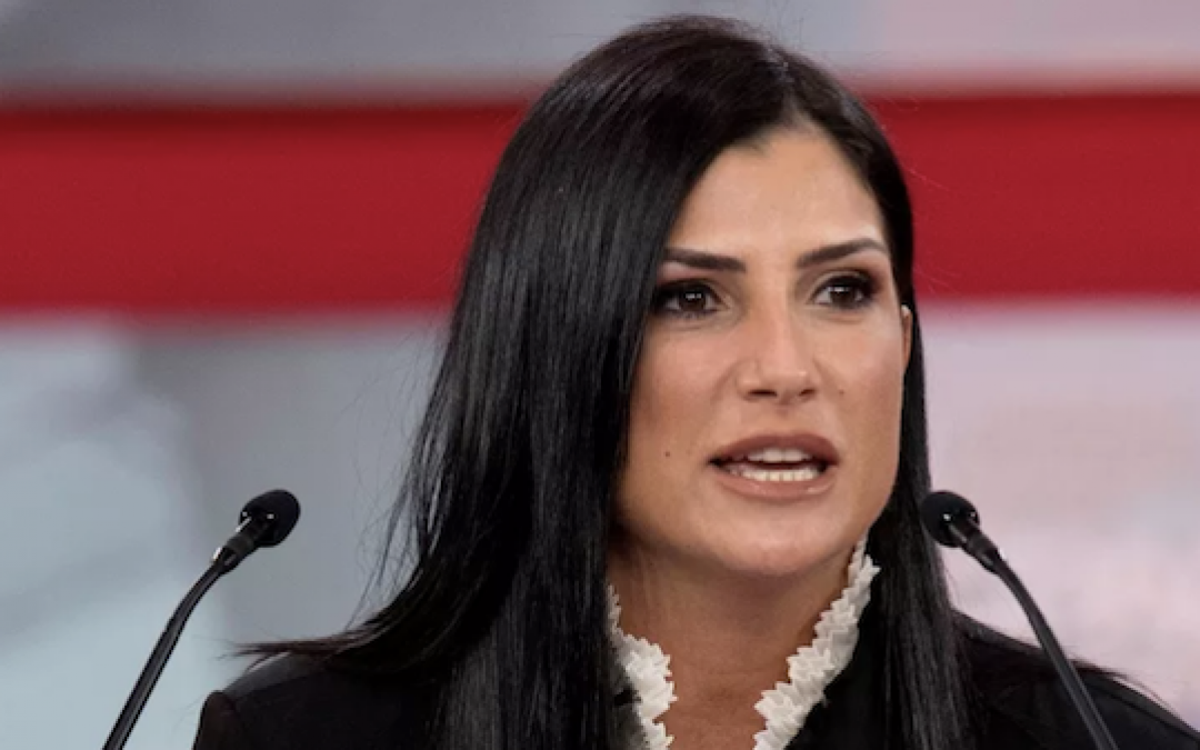 LIBERAL HATE: Writer For ‘The Root’ Hopes Dana Loesch Slowly Burns To Death In Car Fire