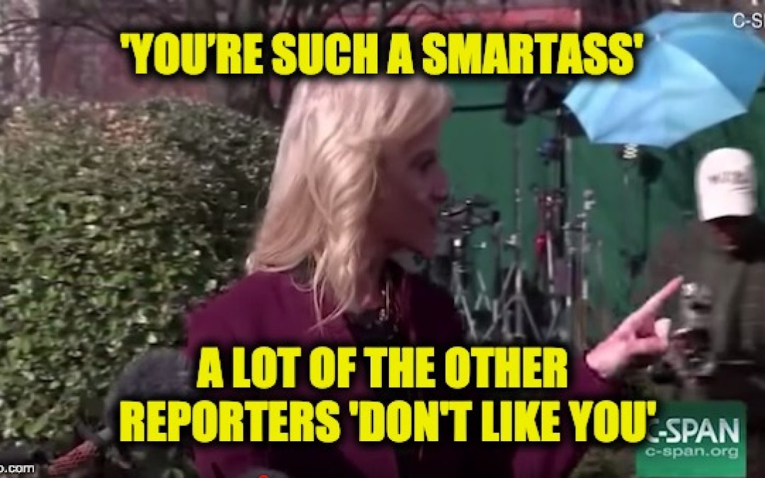 (Video) Kellyanne Conway Gives CNN’s Acosta A Well-Deserved Smackdown