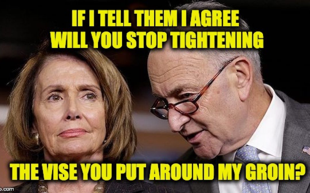 Pelosi Rejected Trump’s Immigration Compromise BEFORE HE GAVE IT!!!!