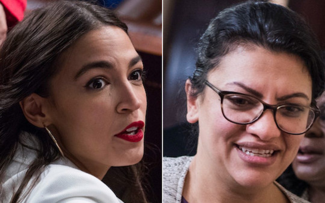 Radical Democrats Rewarded With House Oversight Committee Appointments