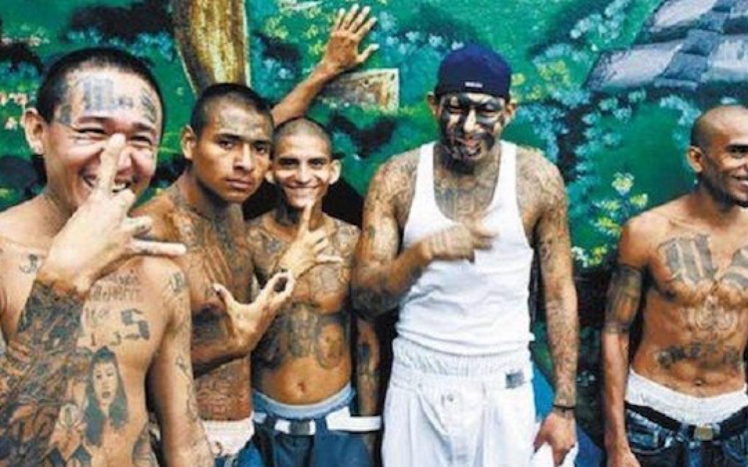 Obama’s Border Chief: MS-13 Gang Members Laugh At How Easy It Is To Cross Border