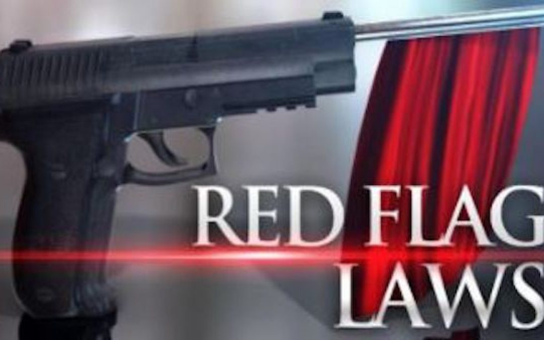 New Mexico Sheriffs Rebel Against New Oppressive Gun Control Laws
