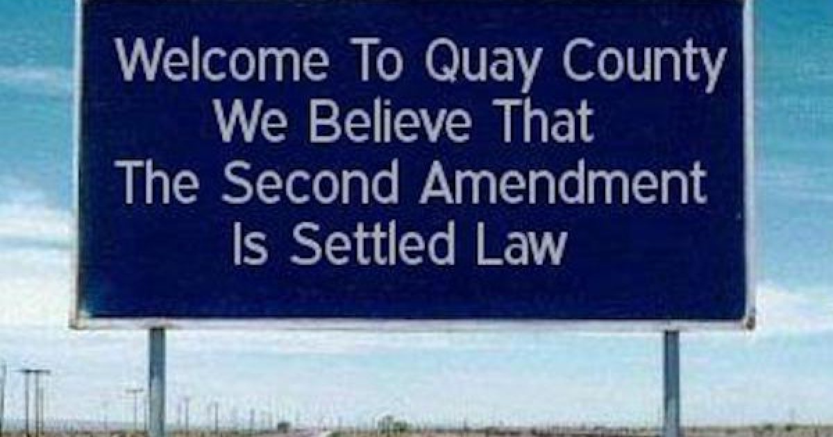 second amendment sanctuary