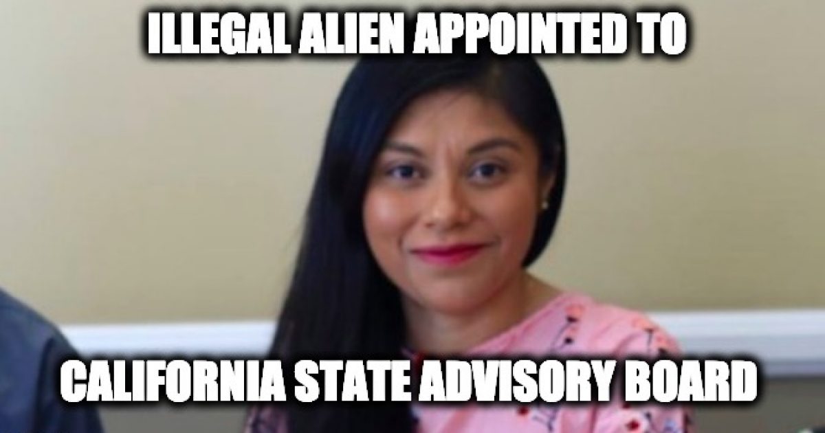 California illegal alien