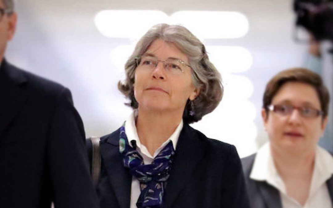 The Illustrated Swamp: New Revelations About Nellie Ohr’s Role In 2016
