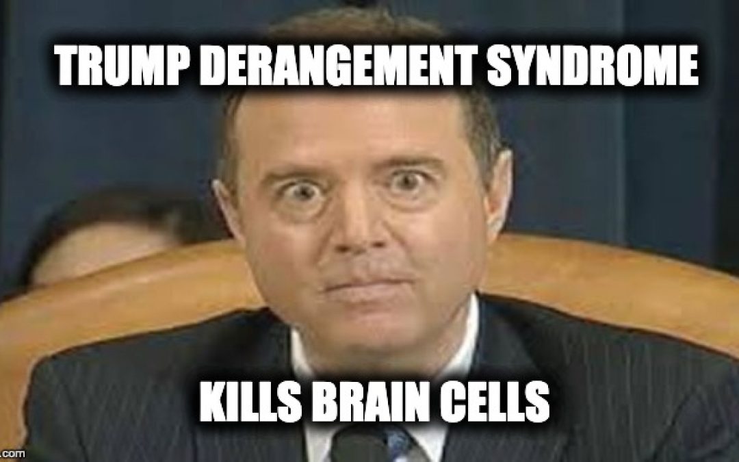 Schiff Document Raises New Question About FBI’s FISA Court Evidence