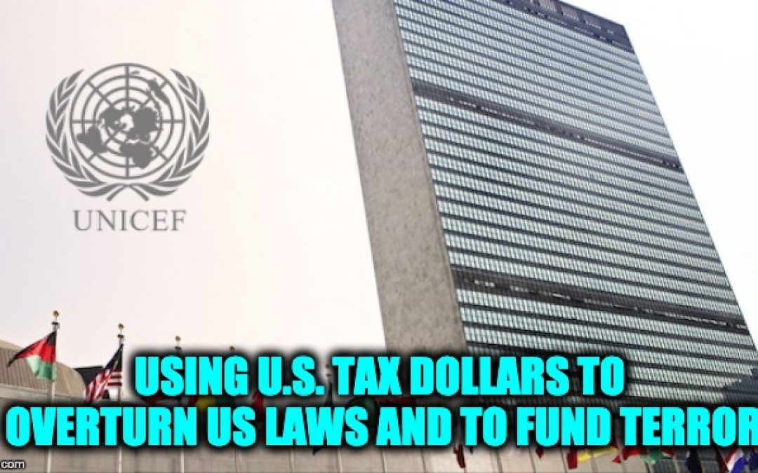 UNICEF Using OUR Tax Dollars For Terrorism And Campaign Against U.S. Immigration Laws