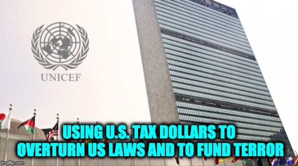 UNICEF Using OUR Tax Dollars For Terrorism And Campaign Against U.S. Immigration Laws