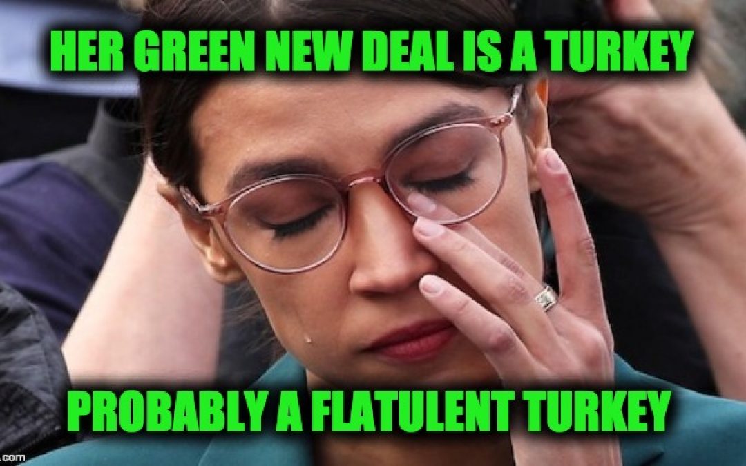 Study: Green New Deal Would Have ‘No Effect’ On Earth’s Climate